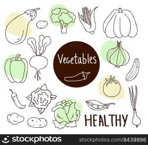 Set of vector vegetables. Eggplant and corn, broccoli cabbage, pumpkin and onions, peppers and beets, cucumber and tomato, peas and chili, potatoes and root tubers. Linear isolated elements for design
