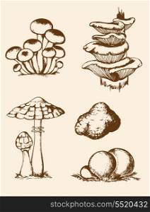 Set of vector vintage hand drawn forest mushrooms