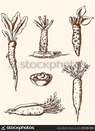 Set of vector vintage hand drawn roots