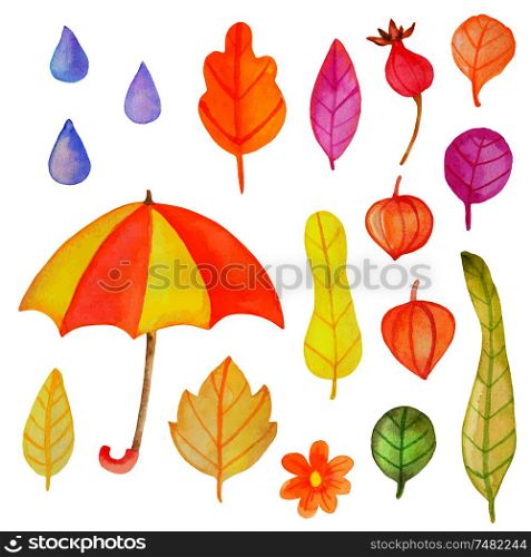 Set of vector watercolor autumn design elements. Flowers and leaves on a white background. Hand drawn botanical illustrations
