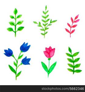 Set of vector watercolor floral elements for design