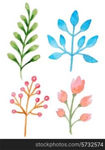 Set of vector watercolor floral elements for design
