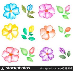 Set of vector watercolor flowers and leaves