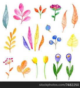 Set of vector watercolor flowers and leaves on a white background. Hand drawn botanical autumn design elements