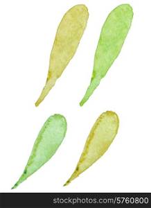 Set of vector watercolor green leaves for design