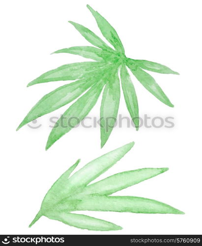 Set of vector watercolor green tropical leaves for design