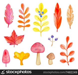 Set of vector watercolor leaves and mushrooms on a white background. Hand drawn botanical autumn design elements
