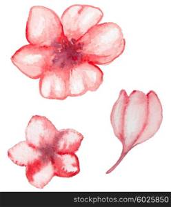 Set of vector watercolor red flowers