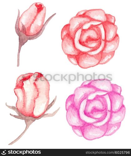 Set of vector watercolor red roses