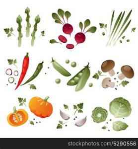 Set of vegetables on white background. eps 10