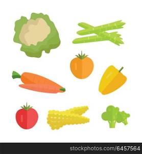 Set of vegetables vector. Flat design. Carrot, tomato, pepper, paprika, corn, broccoli, asparagus cauliflower illustrations for conceptual banners icons infographics. Isolated on white background.. Set of Vegetables Vector Illustration.