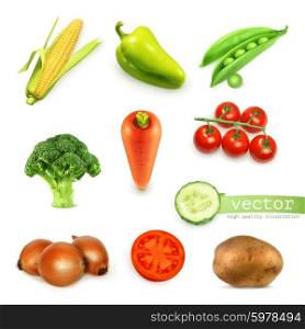Set of vegetables, vector illustration