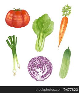 Set of Vegetables watercolor vector illustration