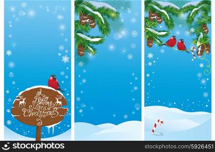 Set of vertical banners with fir tree branches and bullfinch birds on light blue sky background. Images for Christmas and New Year design.