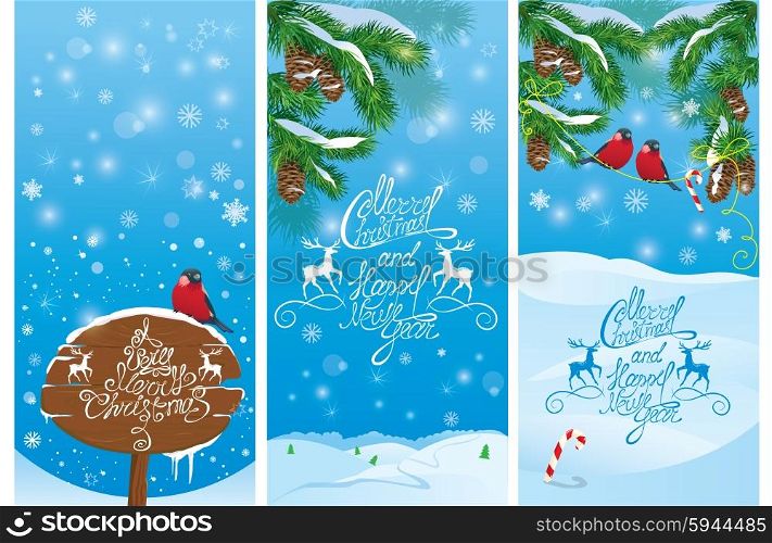 Set of vertical banners with fir tree branches and bullfinch birds on light blue sky background. Images for Christmas and New Year design.
