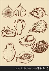 set of vintage hand drawn tropical fruits