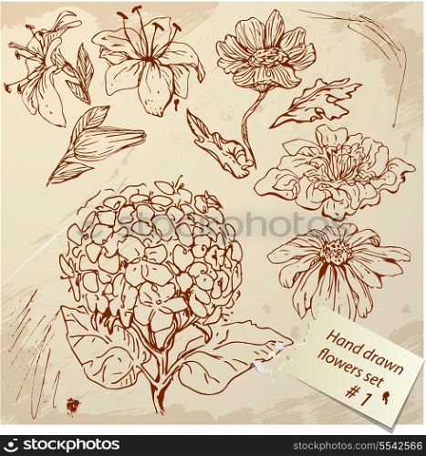 Set of Vintage Realistic graphic flowers - hand drawn images