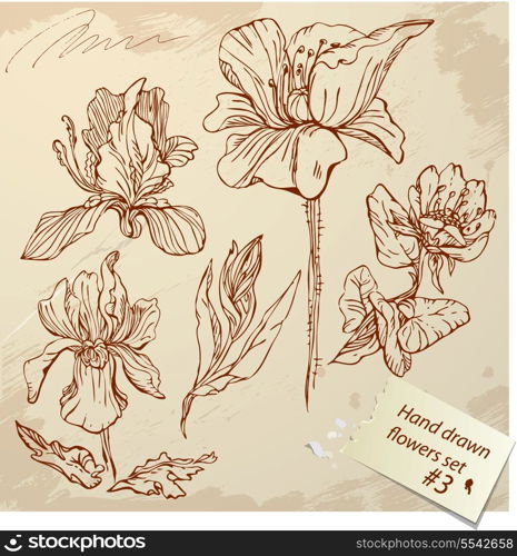 Set of Vintage Realistic graphic flowers - hand drawn images.