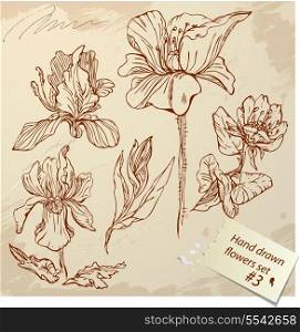 Set of Vintage Realistic graphic flowers - hand drawn images.