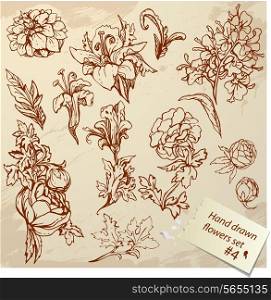 Set of Vintage Realistic graphic flowers - hand drawn images