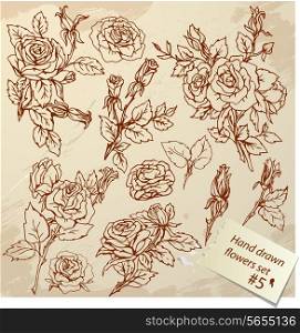 Set of Vintage Realistic graphic flowers - roses - hand drawn images