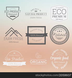 Set of vintage style elements for labels and badges for organic food and drink Vector illustration on blurred background