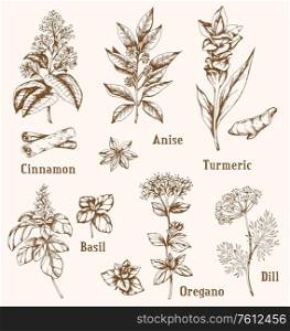 Set of vintage vector hand drawn spices and herbs.