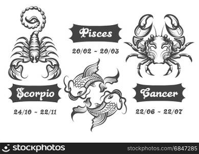 Set of Water Zodiac signs. Scorpion, Fishes and Cancer drawn in engraving style. Vector illustration.. Zodiac signs of Scorpion Fishes and Cancer