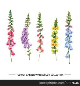 Set of watercolor digitalis on white background for decorative use.