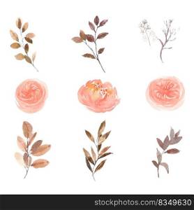 Set of watercolor pink peony and foliage, paint illustration of elements isolated white background.