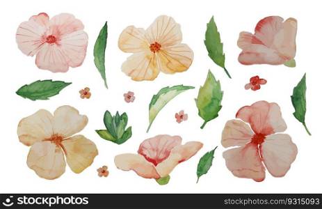Set of watercolor pink Violet flowers and leaves. Vector illustration. Set of watercolor pink Violet flowers and leaves