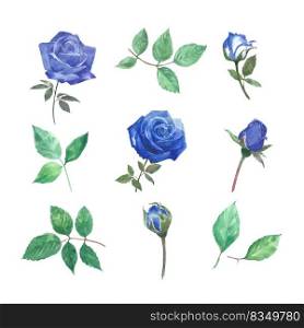 Set of watercolor rose, hand-drawn illustration of elements isolated white background.