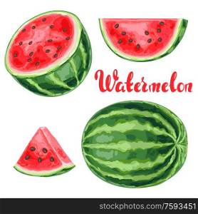 Set of watermelons and slices. Summer fruit decorative illustration.. Set of watermelons and slices.