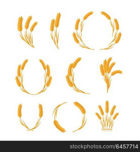 Set of wheat Ears vector illustrations. Flat design. New harvest, grain growing concept. Collection for bakery, bread store, agricultural company logo design. Ripe ears on white background. . Set of Wheat Ears Vector Concepts in Flat Design.