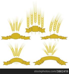 Set of Wheats with Ribbons Isolated on White Background.. Wheats