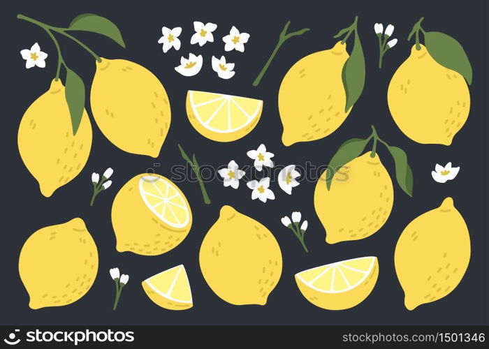 Set of whole, cut in half, sliced on pieces fresh lemons . Citrus fruit collection with lemon peel, flowers and leaves in hand drawn style. Vector illustration isolated on black background.