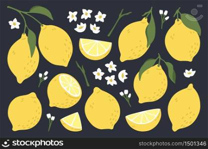 Set of whole, cut in half, sliced on pieces fresh lemons . Citrus fruit collection with lemon peel, flowers and leaves in hand drawn style. Vector illustration isolated on black background.