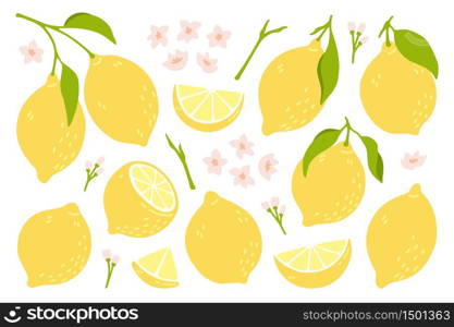 Set of whole, cut in half, sliced on pieces fresh lemons . Citrus fruit collection with lemon peel, flowers and leaves in hand drawn style. Vector illustration isolated on white background.