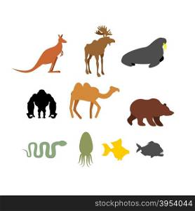 Set of wild animals on white background. Silhouettes of Animals and fish. Kangaroo and moose. Seal and Black Gorilla. Camel and brown bear. Snake and Piranha