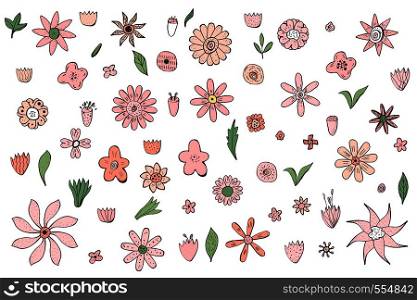 Set of wild flowers and leaves composition. Hand drawn style. Vector ilustration.