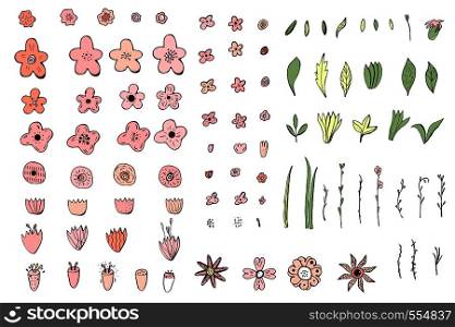 set of wild flowers and leaves elements. Hand drawn style. Vector ilustration.