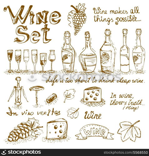 Set of wine elements for design vector illustration