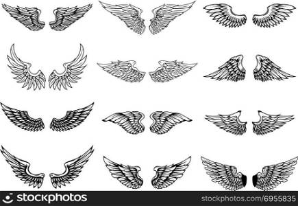 Set of wings illustrations isolated on white background. Design element for logo, label, emblem, sign. Vector illustration