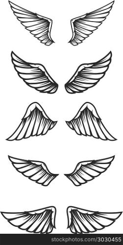 Set of wings on white background. Design elements for logo, label, emblem, sign. Vector image. Set of wings on white background. Design elements for logo, label, emblem, sign.