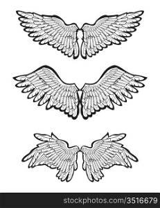 Set of Wings, vector