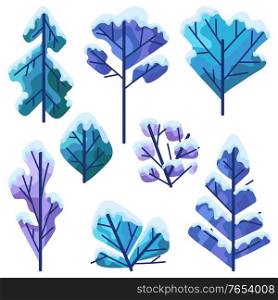 Set of winter trees. Natural stylized illustration of forest.. Set of winter trees.