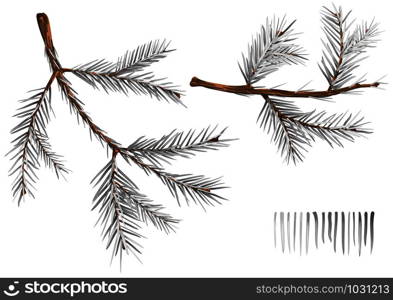 Set of Wintry Spruce Branches