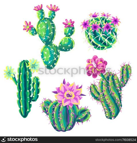 Set of with cacti and flowers. Decorative spiky flowering cactuses in hand drawn style.. Set of with cacti and flowers.
