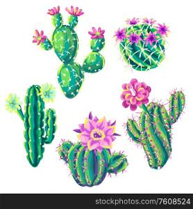 Set of with cacti and flowers. Decorative spiky flowering cactuses in hand drawn style.. Set of with cacti and flowers.