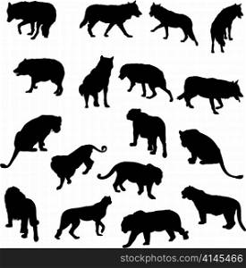 Set of wolves, tigers, leopareds and lions silhouettes. Vector illustration.